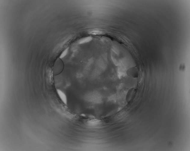 X0000111240669200907161343