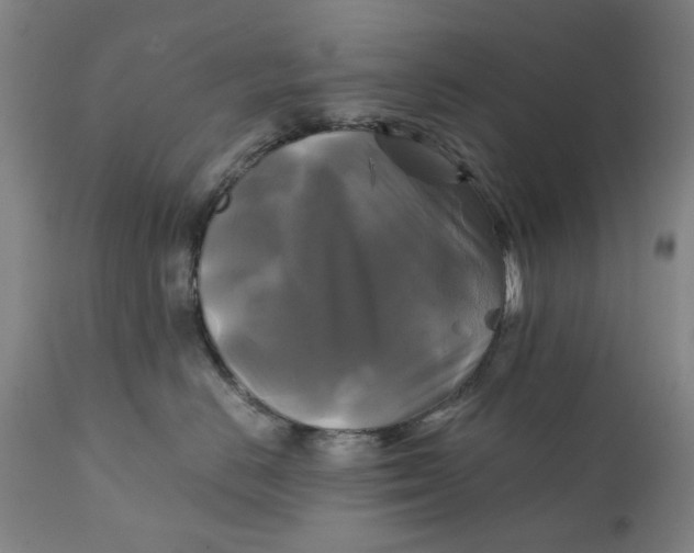 X0000111240670200907161343