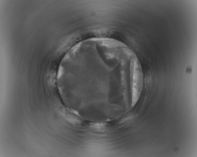 X0000111240671200907161343