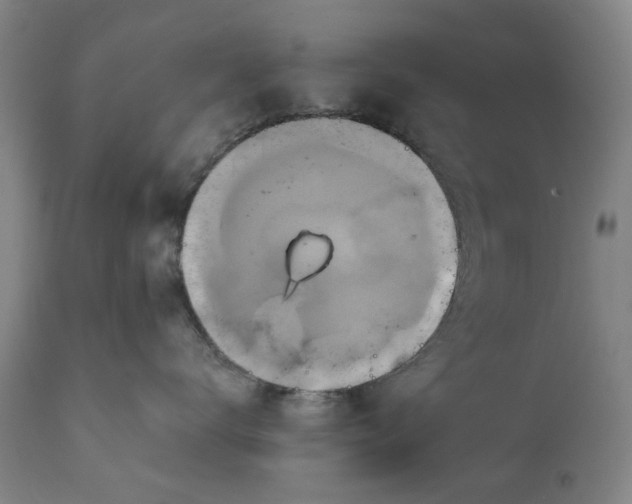 X0000111240672200907161343