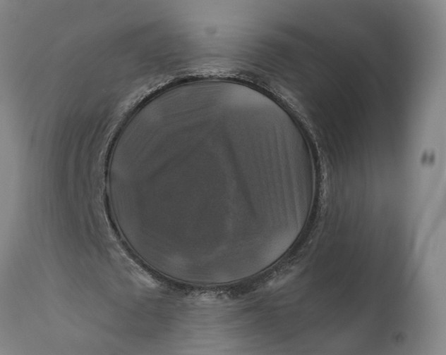 X0000111240673200907161342