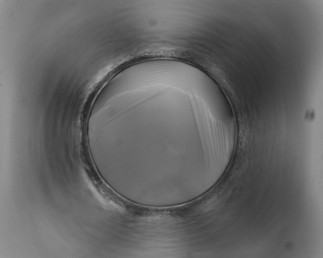 X0000111240674200907161342