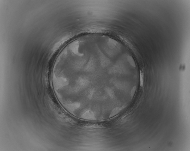 X0000111240675200907161342