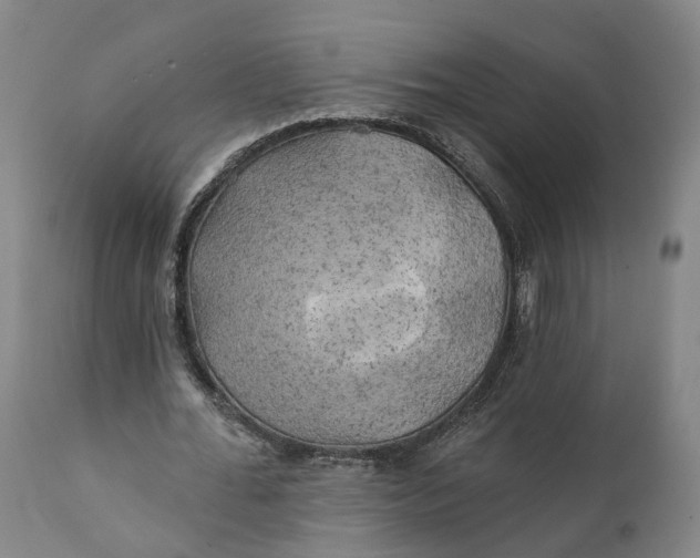 X0000111240676200907161342