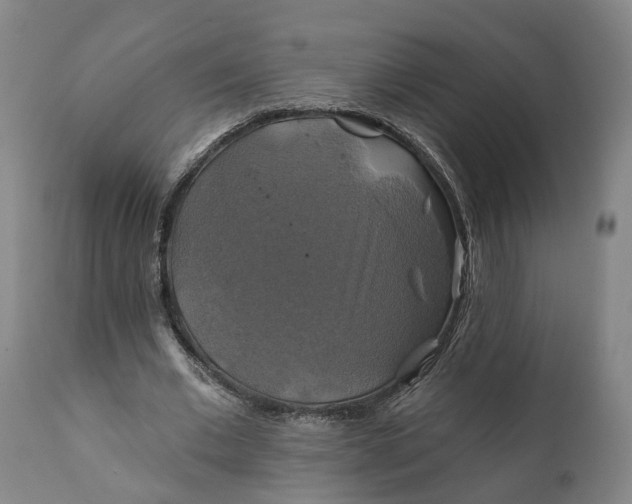 X0000111240677200907161342