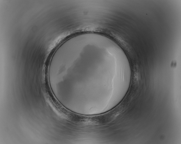 X0000111240678200907161342