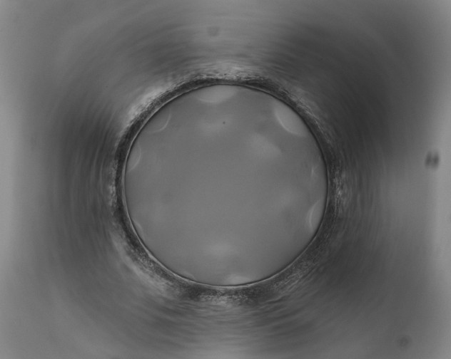 X0000111240679200907161342