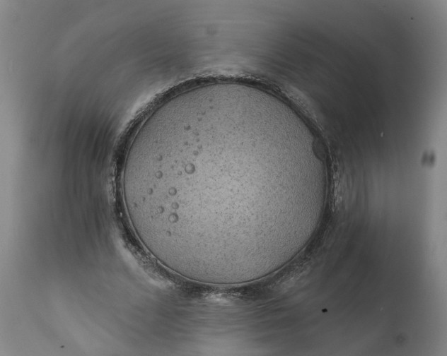 X0000111240680200907161342