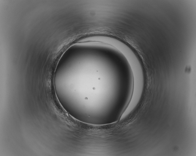 X0000111240681200907161342