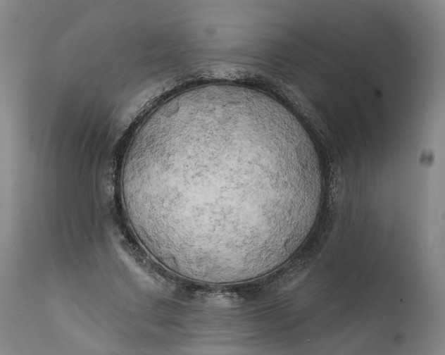 X0000111240683200907161342