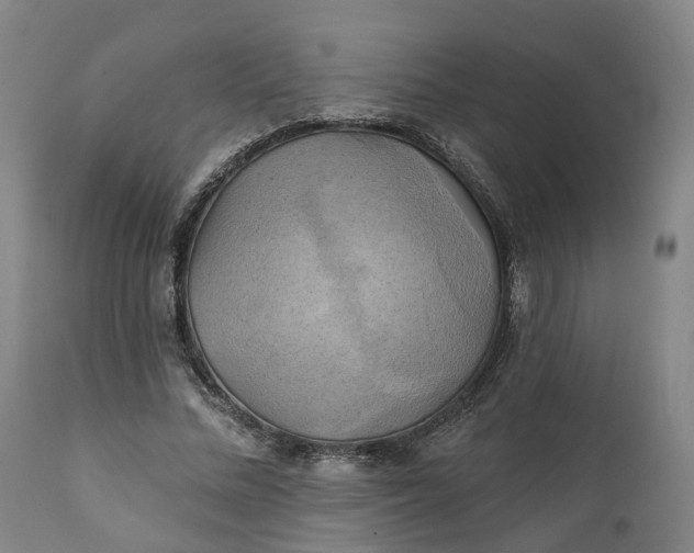 X0000111240684200907161342