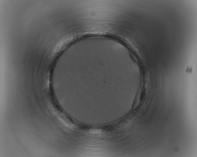 X0000111240685200907161342