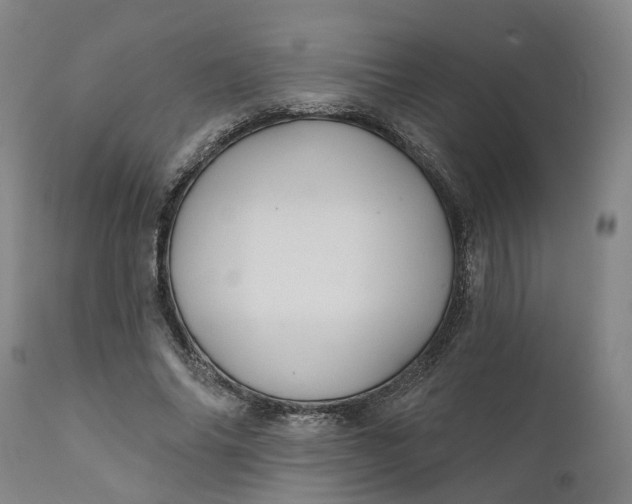 X0000111240686200907161342