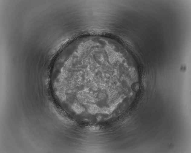 X0000111240687200907161342