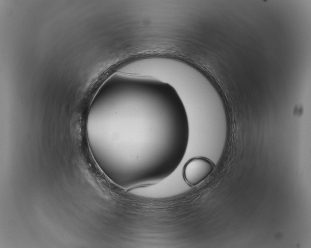 X0000111240688200907161342