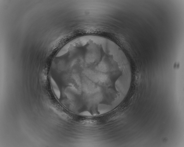 X0000111240691200907161341