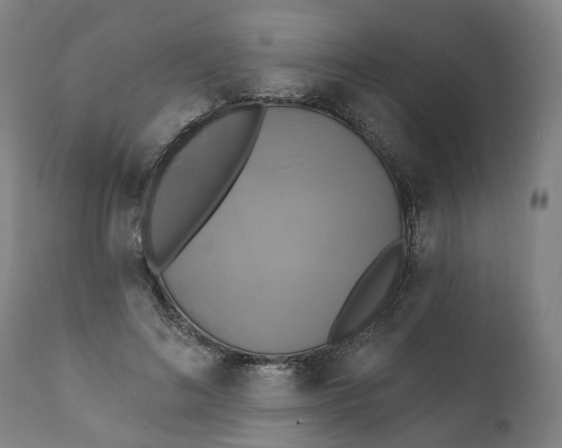 X0000111240692200907161341