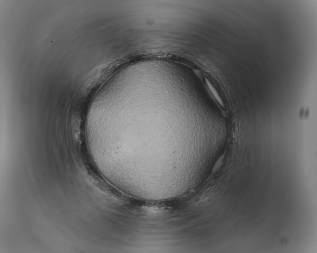 X0000111240693200907161341