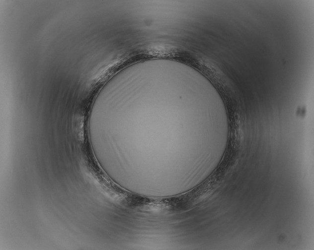 X0000111240696200907161341