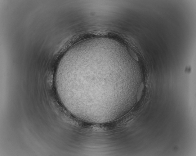 X0000111240697200907161341