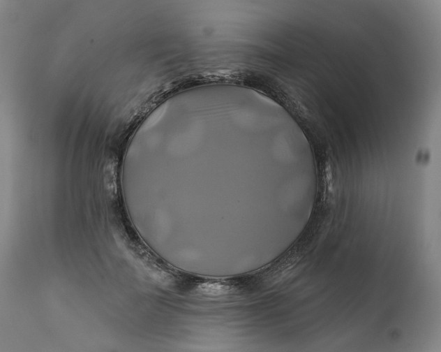 X0000111240699200907161341