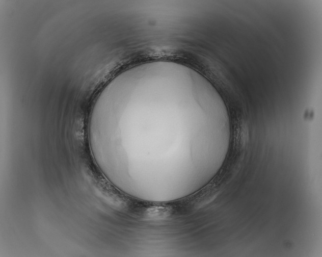 X0000111240700200907161341