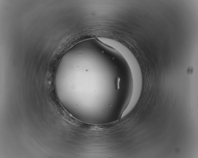 X0000111240701200907161341