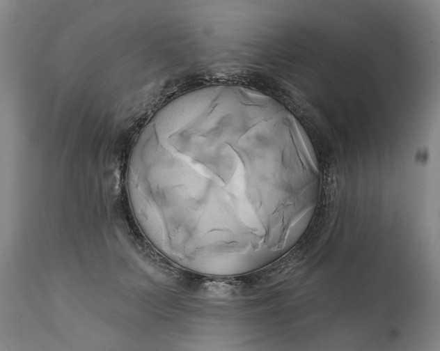 X0000111240703200907161341