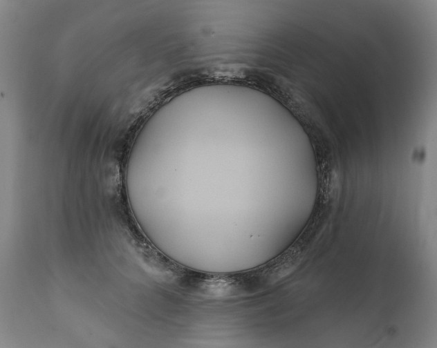 X0000111240704200907161341