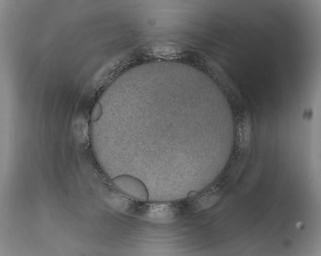 X0000111240705200907161341