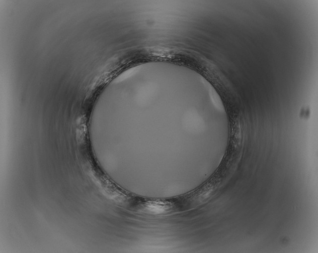 X0000111240707200907161341