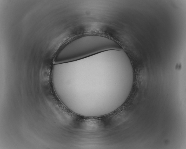 X0000111240708200907161341