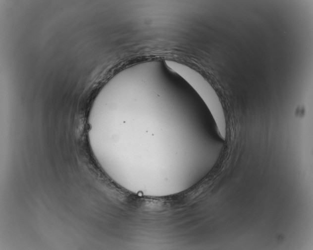 X0000111240709200907161341