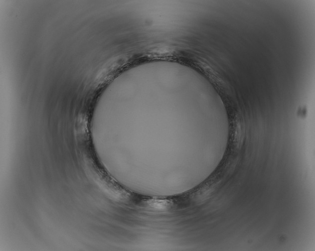 X0000111240711200907161341