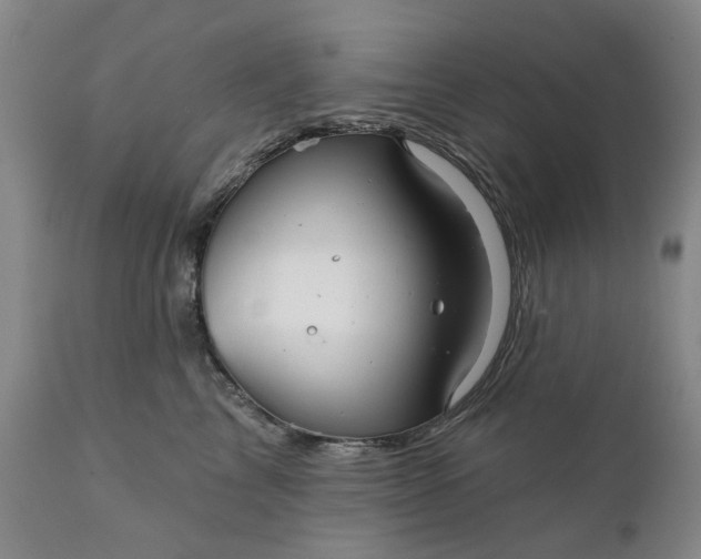 X0000111240713200907161341