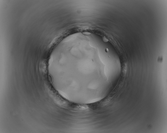 X0000111240715200907161341