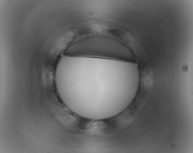 X0000111240716200907161341