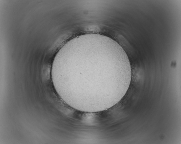 X0000111240717200907161341