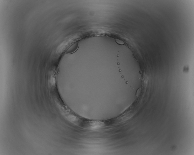 X0000111240719200907161341