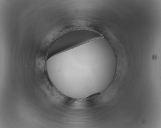 X0000111240720200907161341