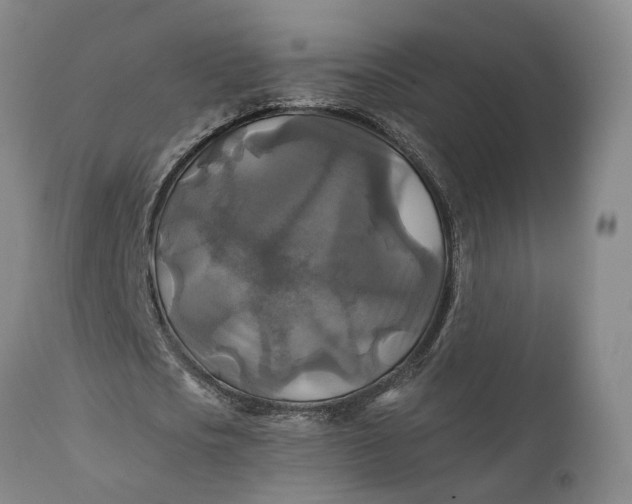 X0000111240721200907161340