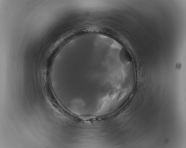 X0000111240722200907161340