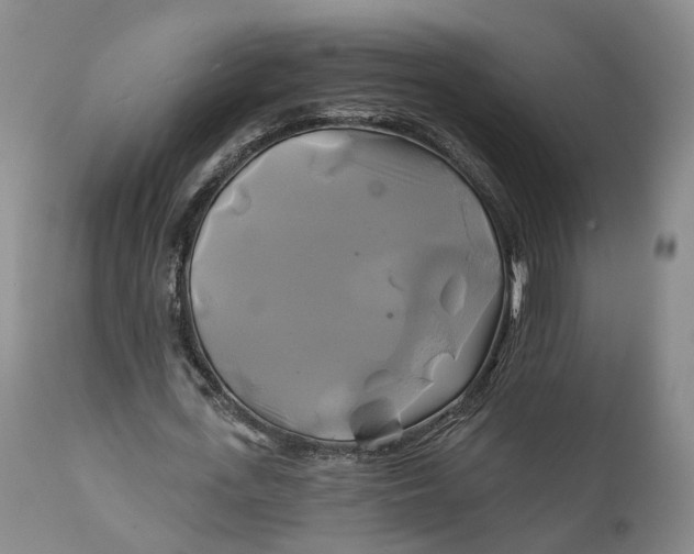 X0000111240723200907161340