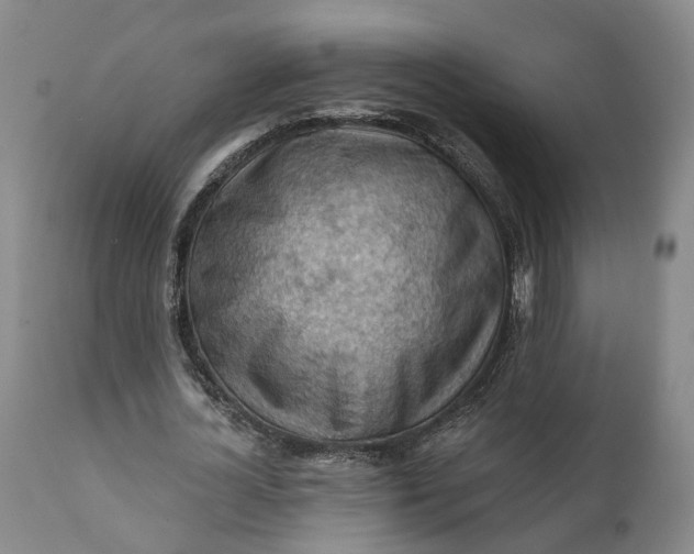 X0000111240724200907161340