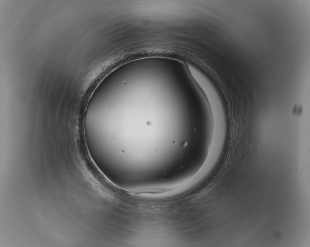 X0000111240725200907161340