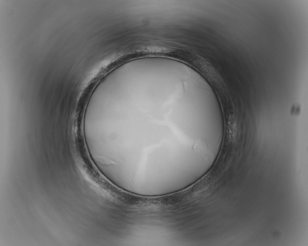 X0000111240726200907161340