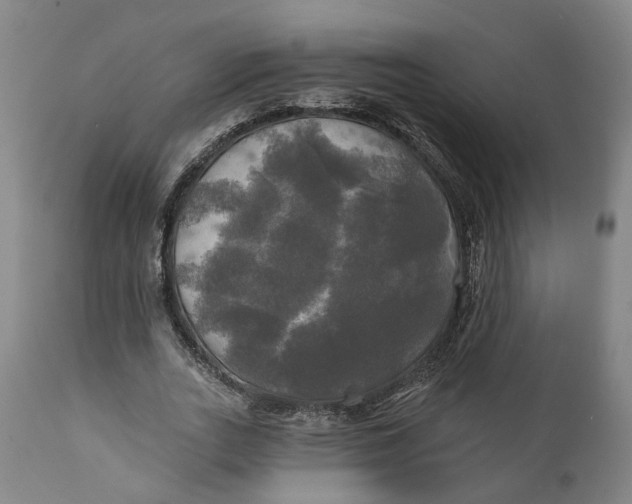 X0000111240727200907161340