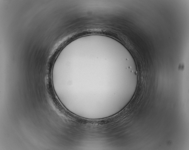 X0000111240728200907161340