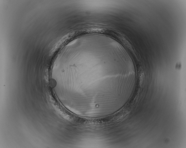 X0000111240729200907161340