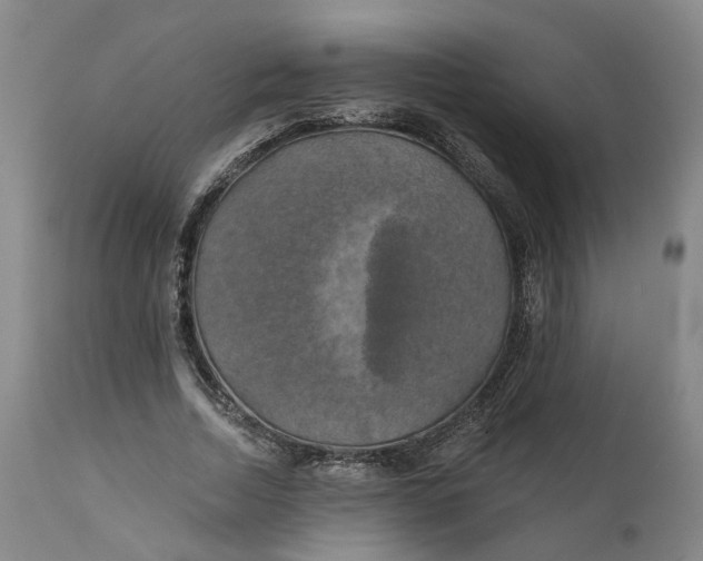 X0000111240730200907161340